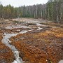 Natürliche Eisenablagerungen im Quellgebiet bei Lecnica